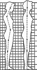 Posture Perfect