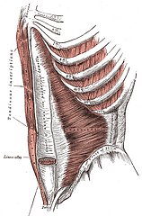 Core Questions
