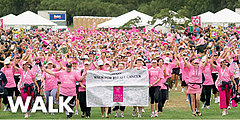 ACTivism: Avon Walk for Breast Cancer ACTivism: Avon Walk for Breast Cancer