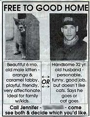 I Don't See the Dilemma Here . . . I Don't See the Dilemma Here . . .