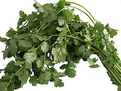 Cilantro Kills Bacteria So You Don't Have To