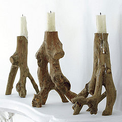 Trend Alert: Taking Root Trend Alert: Taking Root