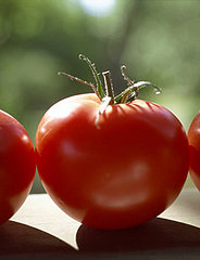 Is a Tomato a Fruit or a Vegetable?