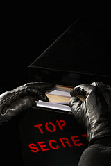 What Crime Would you Commit? What Crime Would you Commit?