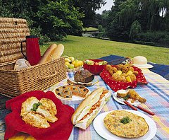 Team Challenge! I'm Going on a Picnic for Memorial Day and I'm Bringing...