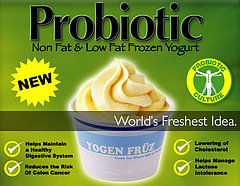 Latest Healthy Dessert Craze: Yogen Früz