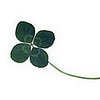Do Tell: Do You Consider Yourself to Be Lucky?