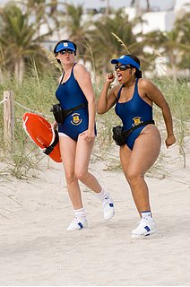 Movie Preview: Reno 911!: Miami
