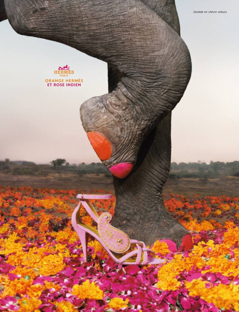 chaussure_sp chaussure_sp