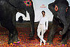 Fab Ad: Hermes Spring 2008 