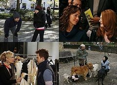 Cashmere Mafia Fashion Quiz: "Dog Eat Dog"