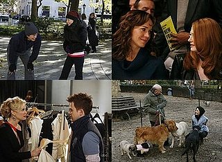 Cashmere Mafia Fashion Quiz: "Dog Eat Dog"