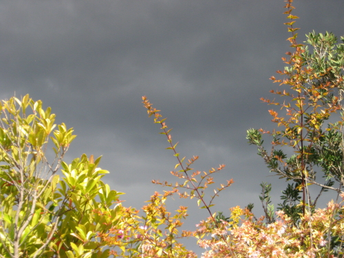More stormy weather