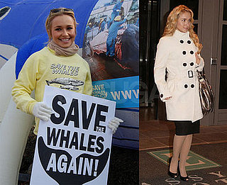 Hayden Panettiere Save the Whales Again Rally
