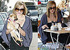 Lauren Conrad Films a Scene from The Hills with her New Puppy