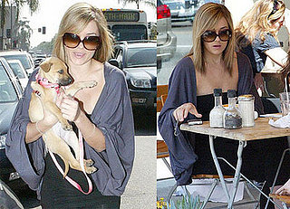 Lauren Conrad Films a Scene from The Hills with her New Puppy