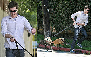 Adam Brody: Part-Time Dog Walker