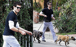 Adam Brody Doubles Up on Doggies