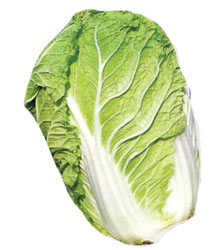 Detox Salad With Cabbage and Apples