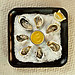 Oysters 