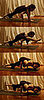 Strike a Yoga Pose: One-Legged Arm Balance 