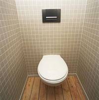 Do Squats in the Restroom