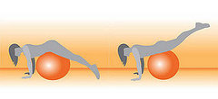 Exercise Ball Prone Leg Raise