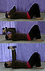 Get Lifted: Tricep Presses on Your Back  