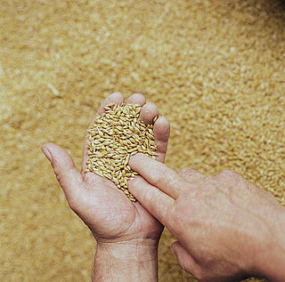 A List of Common Whole Grains