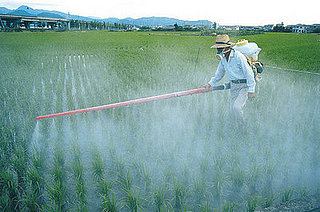 12 Foods With High Amounts of Pesticides