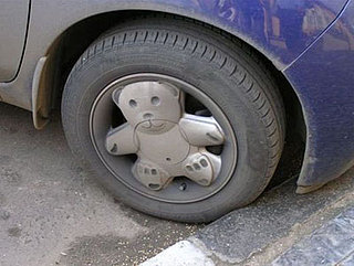 Cute Alert: Bear Rims