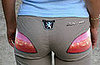 Peugeot Pants