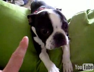 GiggleSugar Best of the Week