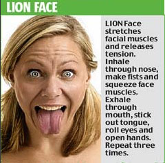 lion lion