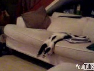 Happy Caturday!