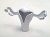 Uterus Vase