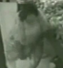 Security Camera Catches Grocery Store Turkey Thief