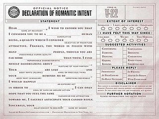 Declaration of Romantic Intent