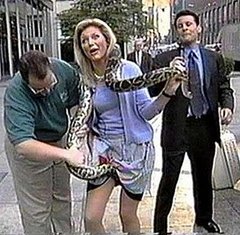 When Giant Pythons Attack!
