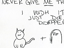Kitty Hate Mail