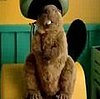 Australian Kotex Beaver Commercial