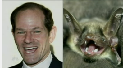 Conan O'Brien Casts the Eliot Spitzer Movie