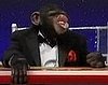 High Rollers: The Dice Rolling Monkey