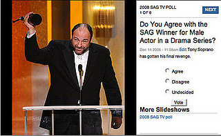 Do You Agree with the SAG Television Winners? 