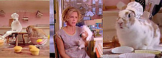 Amy Sedaris' Rabbit Rescue