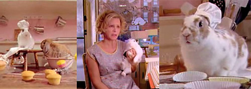 Amy Sedaris' Rabbit Rescue
