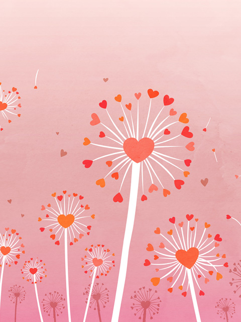 480x640flowers 480x640flowers