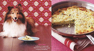 Dogilicious Cheesy Zucchini Frittata for Fido