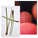 Lemongrass and Lychee