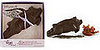 Vosges Releases Their New Bacon-Flavored Flying Chocolate Pig